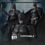 Imagen anterior del producto