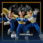 Imagen anterior del producto