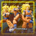 Imagen anterior del producto